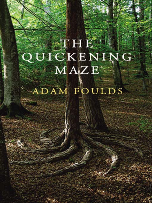 Upplýsingar um The Quickening Maze eftir Adam Foulds - Biðlisti